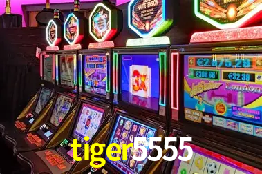 Descubra o Programa VIP da tiger5555: Vantagens Exclusivas para Jogadores