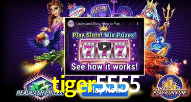 Inovações de Jogos na tiger5555: O Futuro das Experiências Interativas