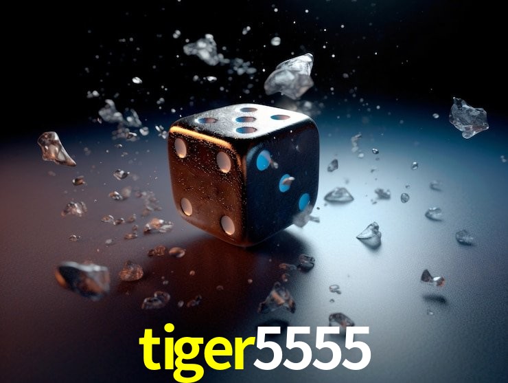 Segurança 2FA tiger5555
