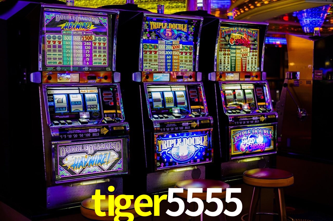 Login Seguro tiger5555